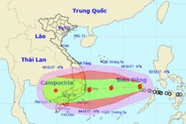 Khẩn trương sơ tán 430 nghìn dân, ứng phó bão số 12