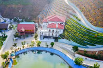 “Sẽ sớm công bố kết luận thanh tra biệt phủ GĐ Sở TN&MT Yên Bái“