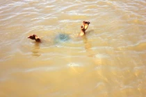 Quảng Ninh: Ba em nhỏ tử vong do đuối nước khi đi tắm sông