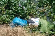 Xác định nghi can giết người phi tang xác xuống sông ở Hải Dương