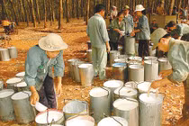 Vì sao cựu Chủ tịch HĐTV Tập đoàn Cao su Việt Nam bị khởi tố?