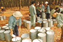 Vì sao cựu Chủ tịch HĐTV Tập đoàn Cao su Việt Nam bị khởi tố?