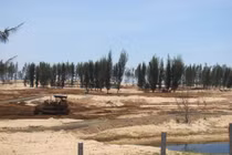 Có hay không phá rừng phòng hộ phục vụ thi hoa hậu ở Phú Yên?