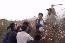 Bạo gan vào vườn đào trộm xe, bị đánh hội đồng