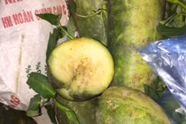 Vĩnh Phúc: Phụ huynh tóm gọn xe thực phẩm bẩn vào trường học