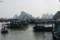 Hoãn tất cả các cuộc họp để ứng phó với bão số 2