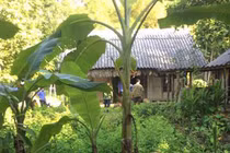 Bắt được nghi phạm sát hại mẹ ruột ở Yên Bái