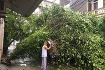 Thiệt hại ban đầu do bão số 2 tại Nghệ An, Hà Tĩnh