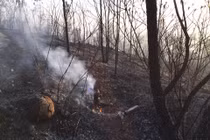 Quảng Ninh: 200 người cứu cháy rừng gần chùa Lôi Âm Thượng