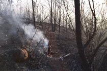 Quảng Ninh: 200 người cứu cháy rừng gần chùa Lôi Âm Thượng