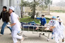 Lào Cai: Hàng chục người nhập viện vì ăn bánh giầy