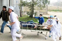 Lào Cai: Hàng chục người nhập viện vì ăn bánh giầy