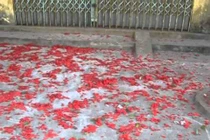 Quy trách nhiệm cho lãnh đạo địa phương nếu xảy ra đốt pháo