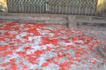 Quy trách nhiệm cho lãnh đạo địa phương nếu xảy ra đốt pháo