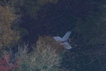 Bộ Quốc phòng thông tin vụ phi công Việt tử nạn ở Anh