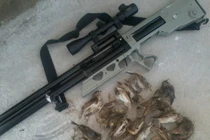 Hy hữu: Ngắm bắn chim, đạn lại bay trúng đầu cháu bé