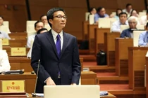 "Chính phủ không để Đà Nẵng quyết Sơn Trà thế nào cũng được"