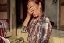 Lương phó giáo sư 20 năm bằng 1/3 tiền nuôi 1 xe công