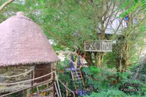 Nhà cây “độc nhất vô nhị” mà ai cũng muốn đến thăm một lần