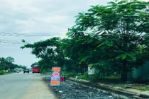 Cơn sốt đất Long Thành: Chính quyền cảnh báo, môi giới vẫn “làm loạn“