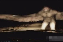 Bí ẩn quái vật người bướm có mắt đỏ rực từ địa ngục