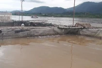 Cá chết trắng do thủy điện Hòa Bình xả lũ: Dân khóc như mưa