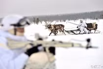 Khám phá đạo quân động vật của Quân đội Nga