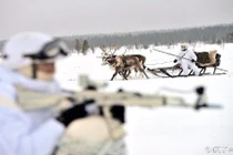 Khám phá đạo quân động vật của Quân đội Nga