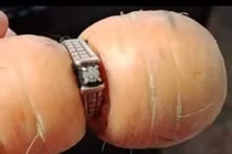 Không ngờ nơi tìm thấy nhẫn bạc tỷ mất tích 13 năm