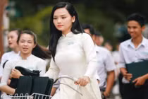 8 ngôi sao phòng vé Việt có thể mang về hàng trăm tỷ đồng