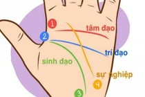 Xem đường chỉ tay vận mệnh biết ngay đường công danh, tình duyên, số phận ra sao 