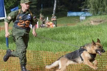 Kỳ lạ thí sinh bốn chân trong Army Game 2017