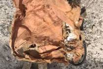 Bí ẩn phi công mất tích 60 năm trước được phơi bày nhờ bão Irma