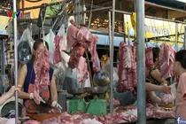 Video: 100% mẫu thịt lợn, thịt gà xét nghiệm nhiễm khuẩn E.Coli