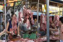 Video: 100% mẫu thịt lợn, thịt gà xét nghiệm nhiễm khuẩn E.Coli