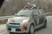 Muôn kiểu chế xe kì dị của dân chơi (1)