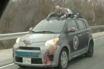 Muôn kiểu chế xe kì dị của dân chơi (1)