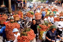 Vải Trung Quốc lan tràn thị trường Việt Nam