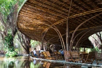 Mổ xẻ nhà Việt “bỏ bùa” người Nhật