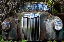 Phát hiện hàng nghìn ô tô cổ bị chôn trong rừng sâu