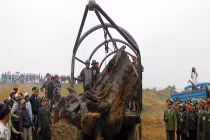 Đầu nậu vung tiền mua suất phát hiện gỗ sưa