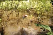 Cô gái chết dưới ao nửa đêm về báo mộng