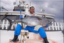 Cận cảnh công nghệ câu cá ngừ mới VN đang tiếp cận