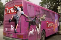 Quảng cáo dị hợm trên xe buýt