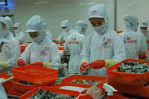 Loạt doanh nghiệp Việt được vinh danh tại diễn đàn kinh tế