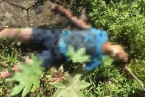 Hòa Bình phát hiện thi thể là nam giới đã tử vong ở bờ đê sông Đà