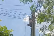 Kinh hãi phát hiện người đàn ông treo ngược lủng lẳng trên cột điện