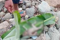 Phát hiện thi thể trẻ sơ sinh trôi trên sông