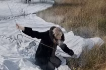 Tròn mắt xem ảnh siêu thực cực ấn tượng (P2)