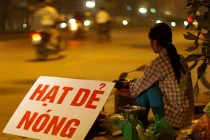 Cảnh đẹp đầu đông hớp hồn giới trẻ Hà thành